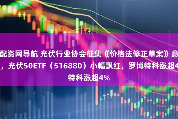 配资网导航 光伏行业协会征集《价格法修正草案》意见，光伏50ETF（516880）小幅飘红，罗博特科涨超4%