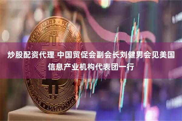 炒股配资代理 中国贸促会副会长刘健男会见美国信息产业机构代表团一行